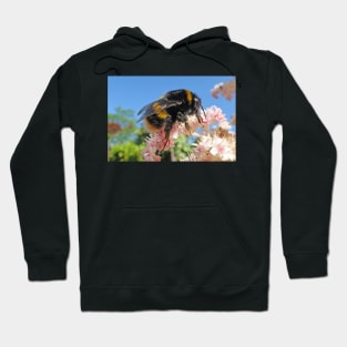 Bee - A Buzzing Thing Hoodie